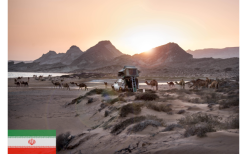 Gordigear Dachzelt Plus Für 3 Personen Mit Staufläche 165 X 320 Cm Grün -Campingzelte Verkaufsgeschäft 737354 4968536