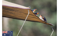 Gordigear Dachzelt 140 Plus Für 2 Personen Mit Vorzelt 140 X 320 Cm Grün -Campingzelte Verkaufsgeschäft 737393 4968680